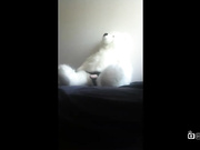 爱泰迪熊毛绒玩具还可以这样玩长见识