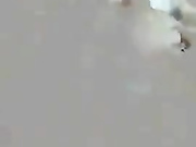微拍2