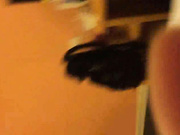 高清女友和我做家自拍2