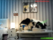 91C仔大战长腿名模爱杏美,抱起来干时美女说：好痛啊,放开我这样我会受伤的！操爽后美女还拍了长大鸡巴照片做纪念！